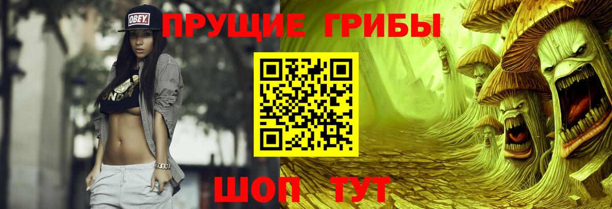 Псков  Псилоцибиновые грибы GOLDEN TEACHER  Вход с VPN 