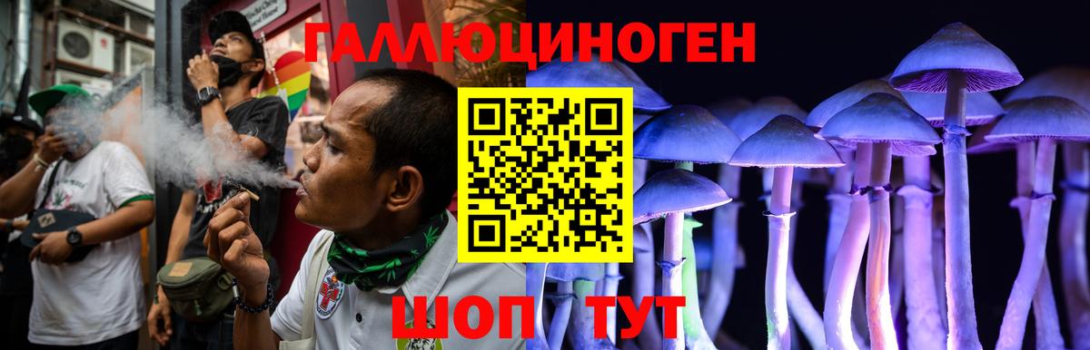 Псилоцибиновые грибы мухоморы Псков
